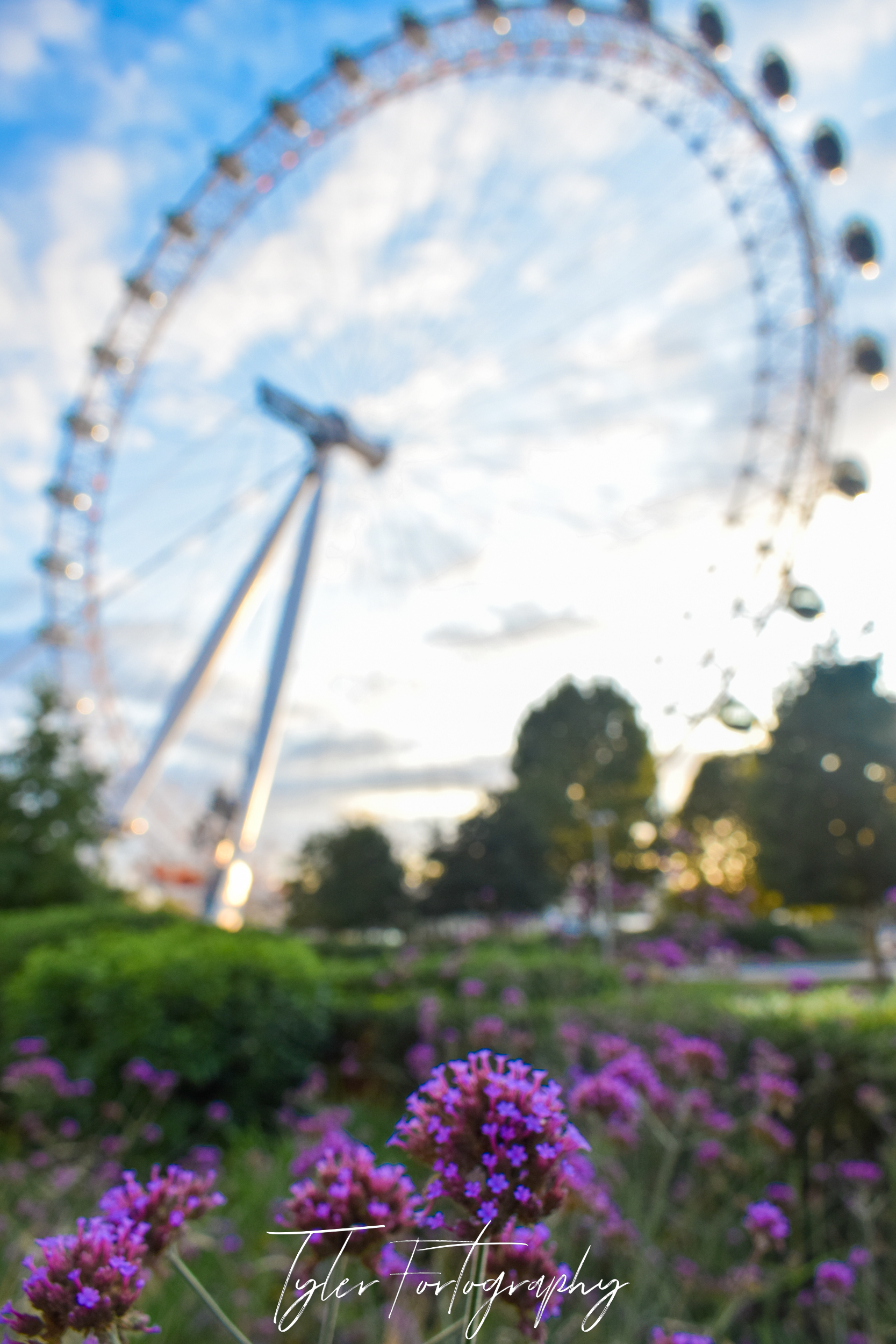 London Eye